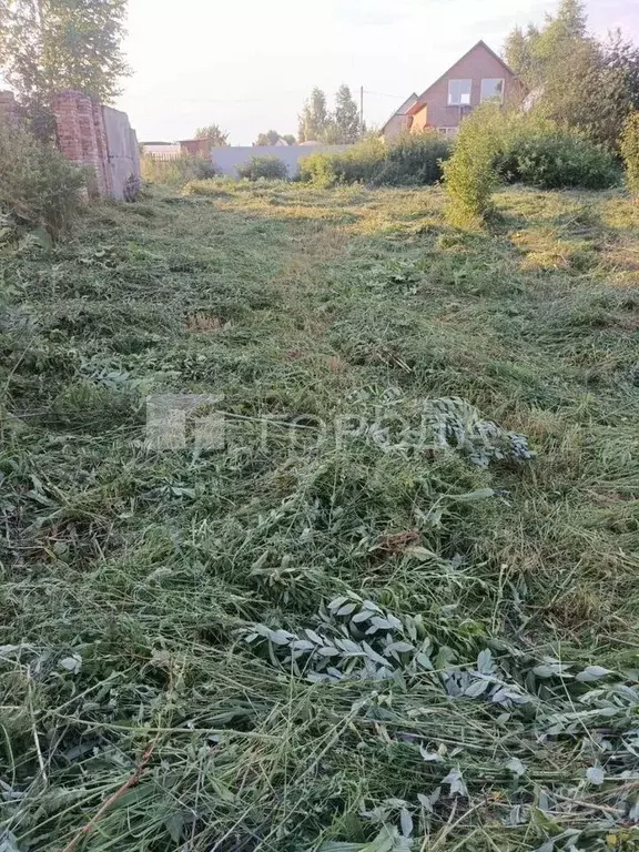 Участок в Новосибирская область, Новосибирск Заря-3 СТ, 81 (6.0 сот.) - Фото 2