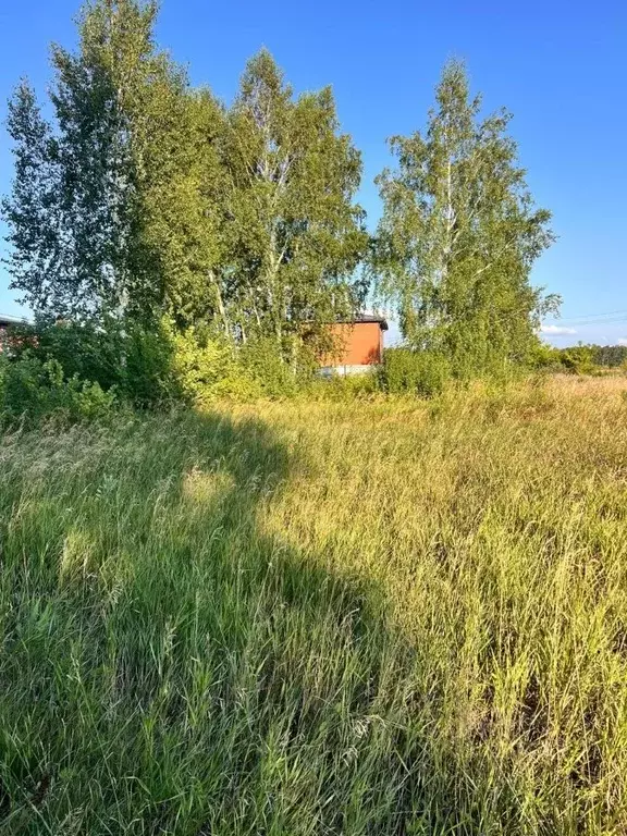 Участок в Омская область, Омск ул. Кондратюка (11.2 сот.) - Фото 1