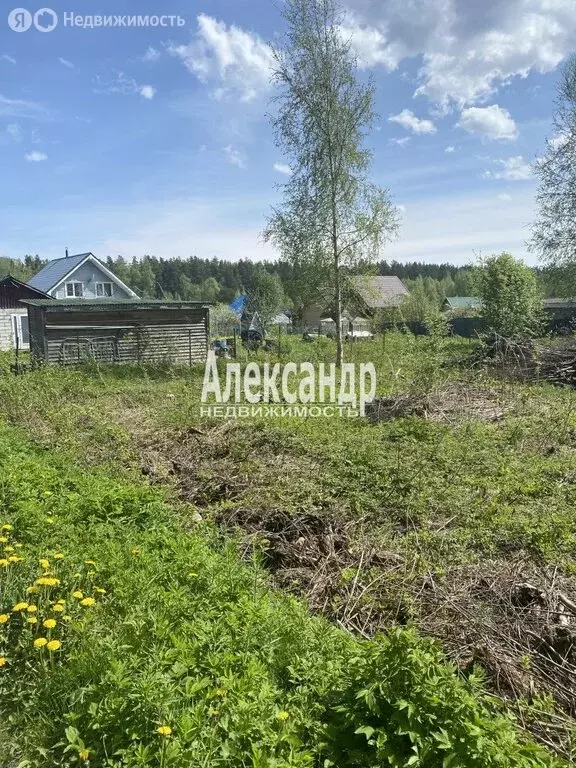 Участок в Ларионовское сельское поселение, садоводческое ... - Фото 0