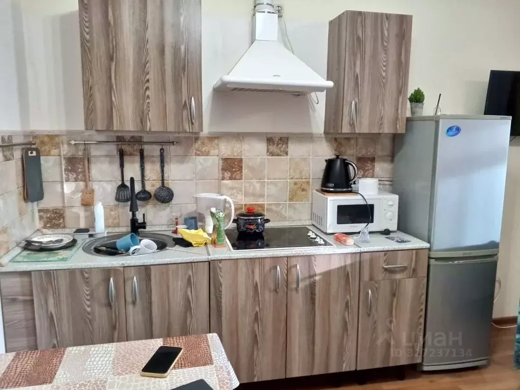 Студия Московская область, Старая Купавна Богородский городской округ, ... - Фото 1