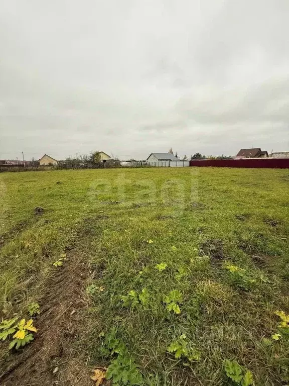 Участок в Тульская область, Заокский район, Страховское с/пос, д. ... - Фото 2