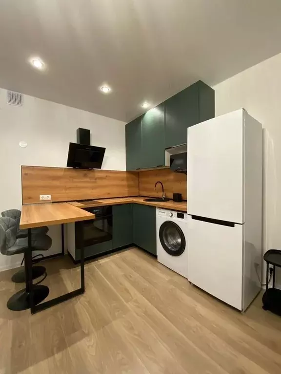 Студия Ленинградская область, Ломоносовский район, Аннинское городское ... - Фото 2