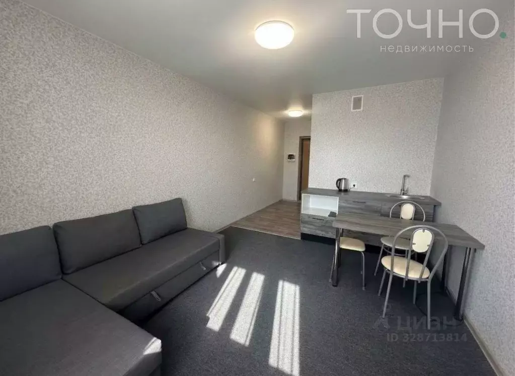 Студия Пензенская область, Пензенский район, Засечный сельсовет, с. ... - Фото 2