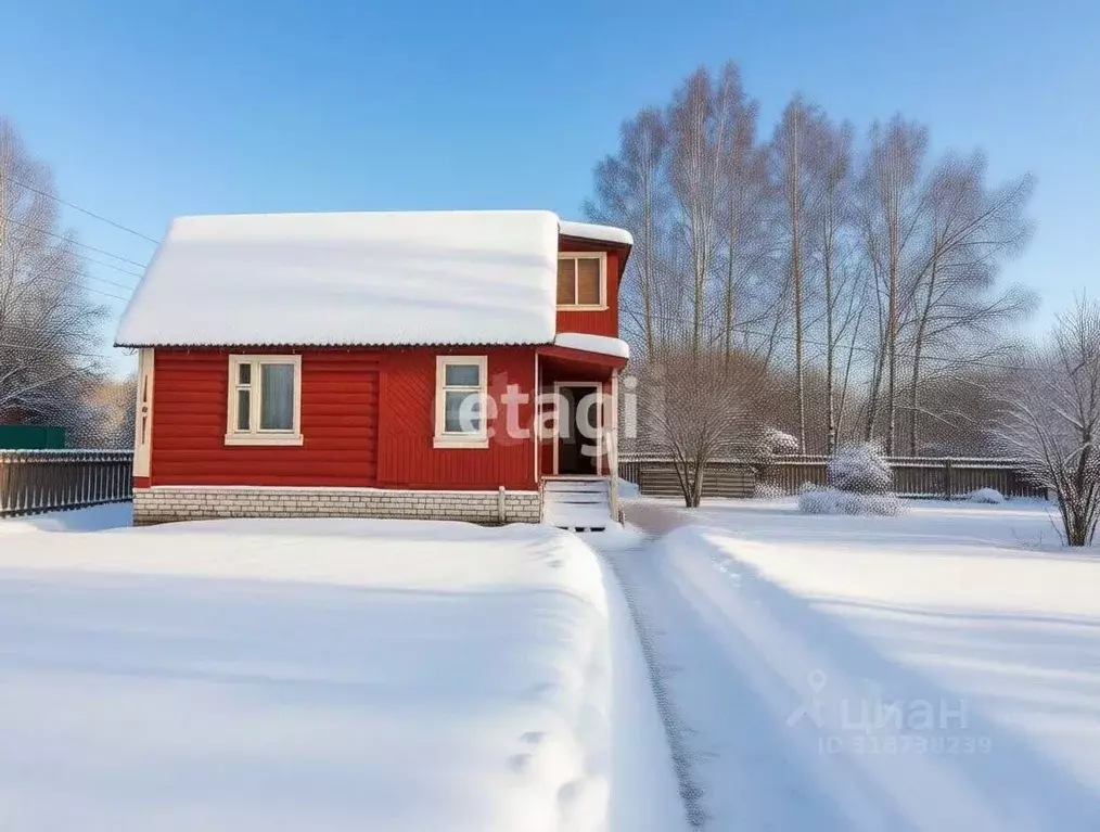 Дом в Владимирская область, Петушки Красная Горка СНТ, 124 (61 м) - Фото 2