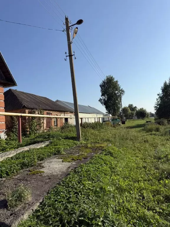 Дом в Тамбовская область, Тамбовский муниципальный округ, с. Малиновка ... - Фото 2