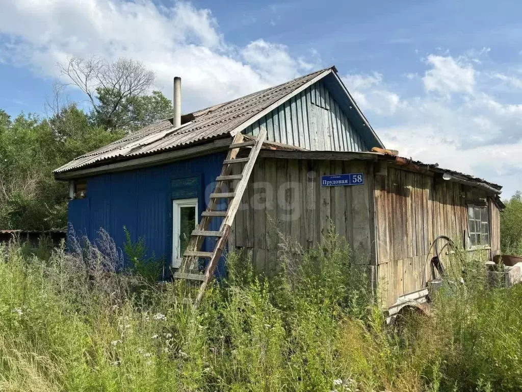 Дом в Амурская область, Свободный Прудовая ул., 58 (31 м) - Фото 0