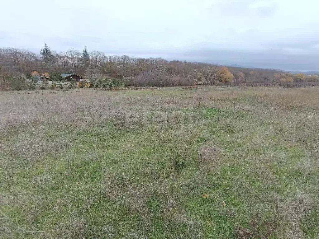 Участок в Крым, Симферопольский район, Добровское с/пос, с. ... - Фото 1