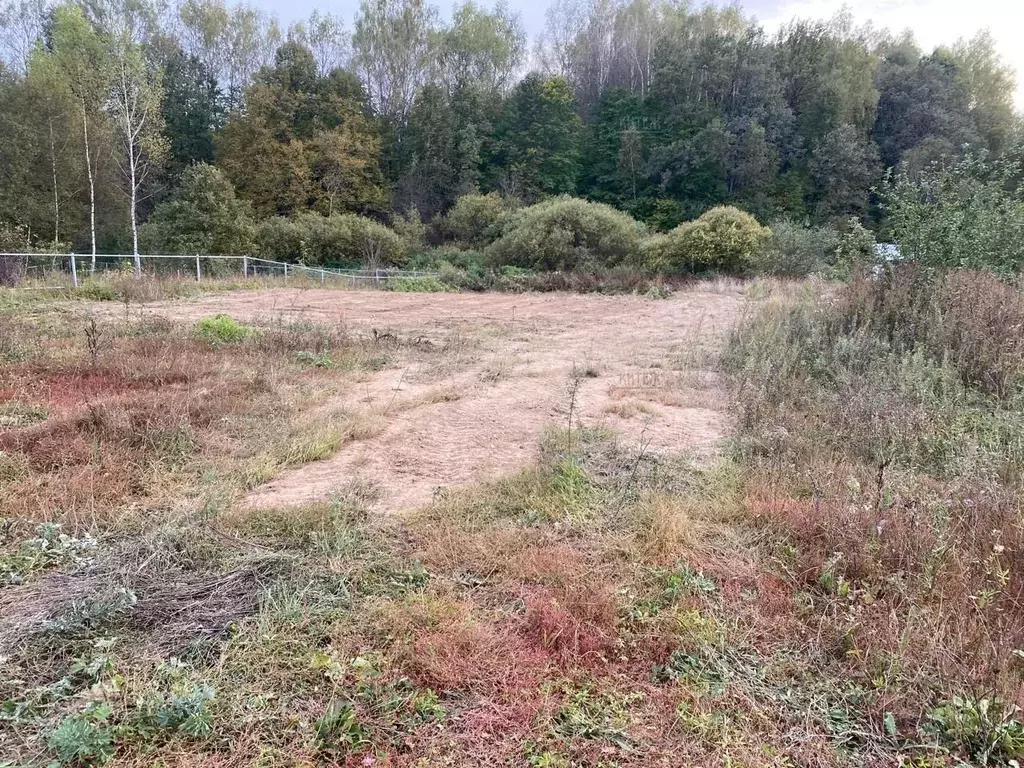 Участок в Калужская область, Калуга городской округ, д. Григоровка 3 ... - Фото 2
