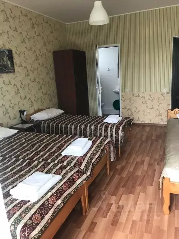 Комната Краснодарский край, Сочи Лазаревское жилрайон, ул. Хвойная, 36 - Фото 1