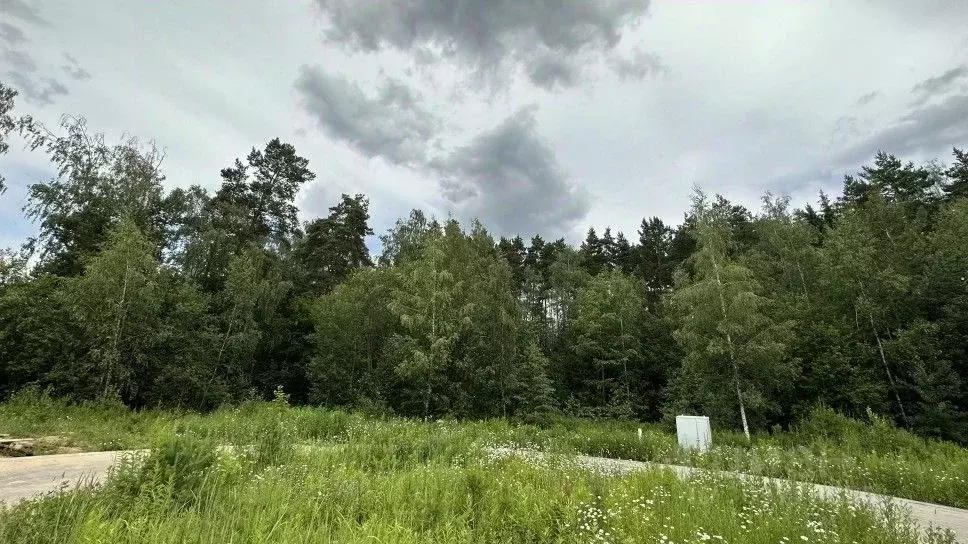 Участок в Московская область, Одинцовский городской округ, д. ... - Фото 1