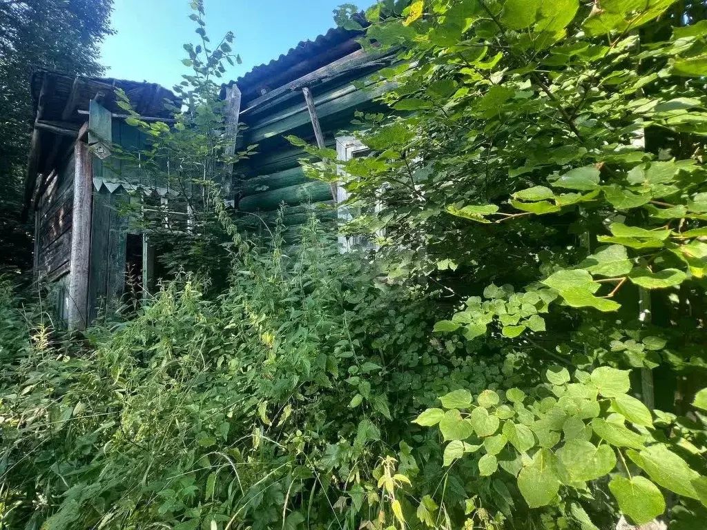 Участок в Владимирская область, Петушинское муниципальное образование, ... - Фото 1