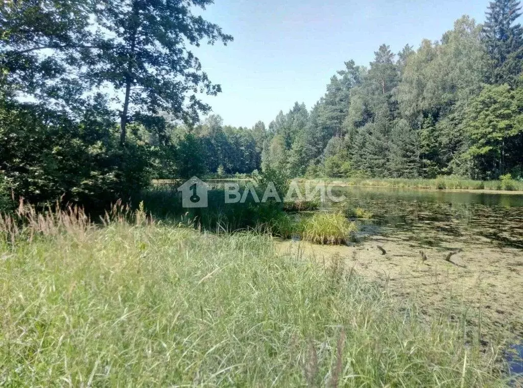 Участок в Владимирская область, Судогодский район, Лавровское ... - Фото 0