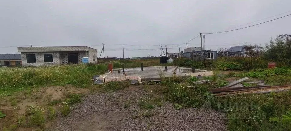 Участок в Ленинградская область, Тосненский район, Федоровское ... - Фото 2