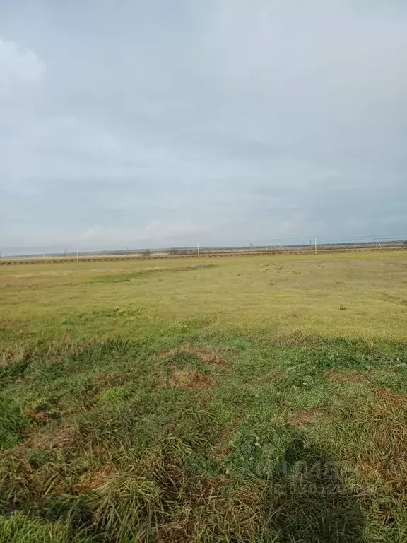 Участок в Крым, Ленинский район, с. Новониколаевка  (14.5 сот.) - Фото 2