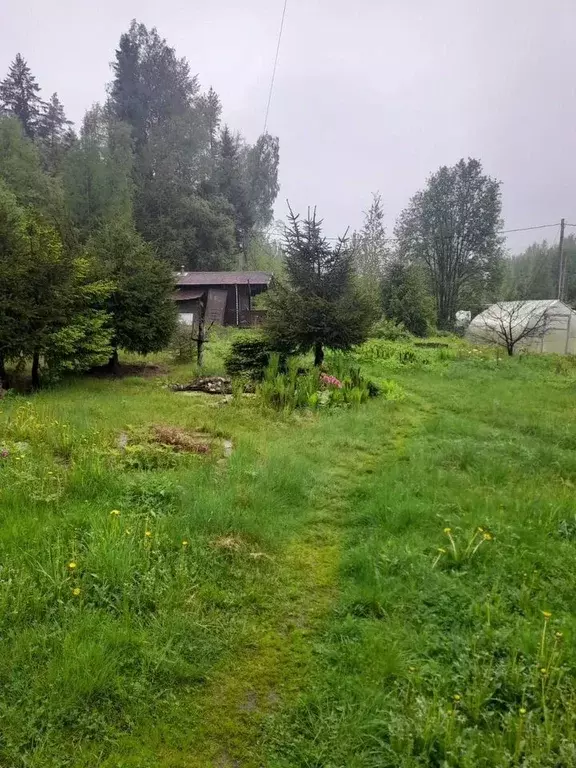Дом в Ленинградская область, Выборгский район, Советское городское ... - Фото 2