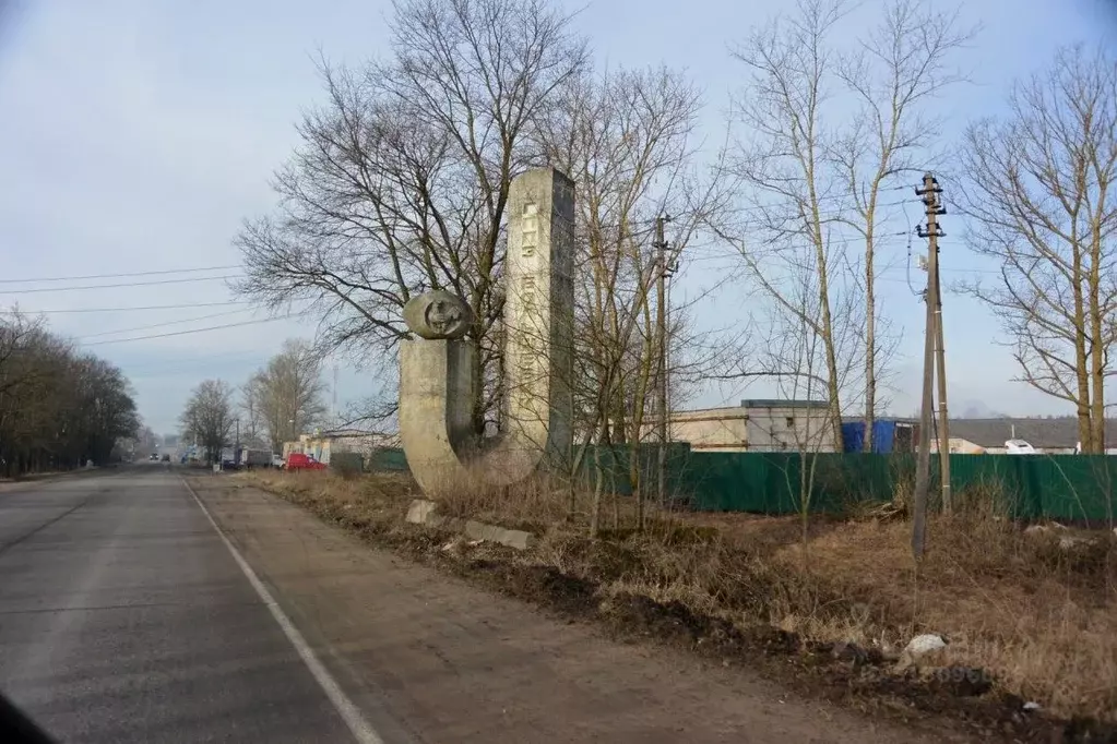 Участок в Ленинградская область, Ломоносовский район, Горбунковское ... - Фото 1