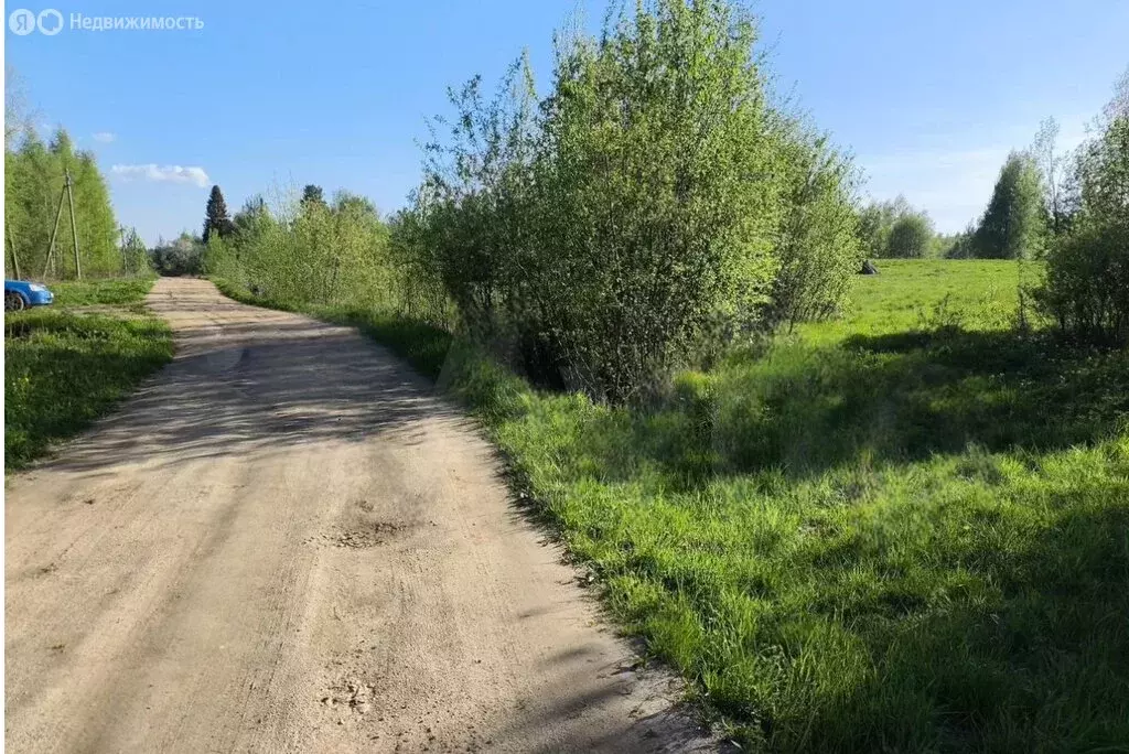 Участок в Вологодская область, Кирилловский муниципальный округ, ... - Фото 2