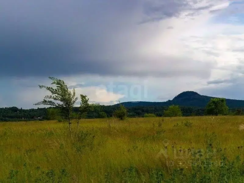 Участок в Красноярский край, Абанский муниципальный округ, с. ... - Фото 1