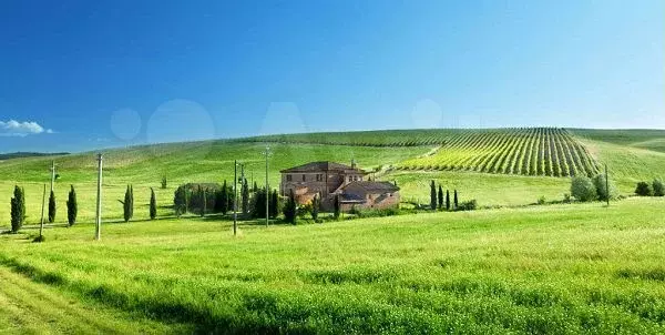 Участок 6 сот. (СНТ, ДНП) - Фото 0