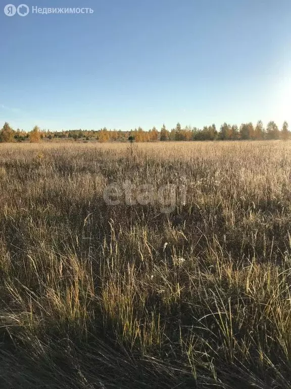 Участок в Нижегородская область, Дальнеконстантиновский муниципальный ... - Фото 0