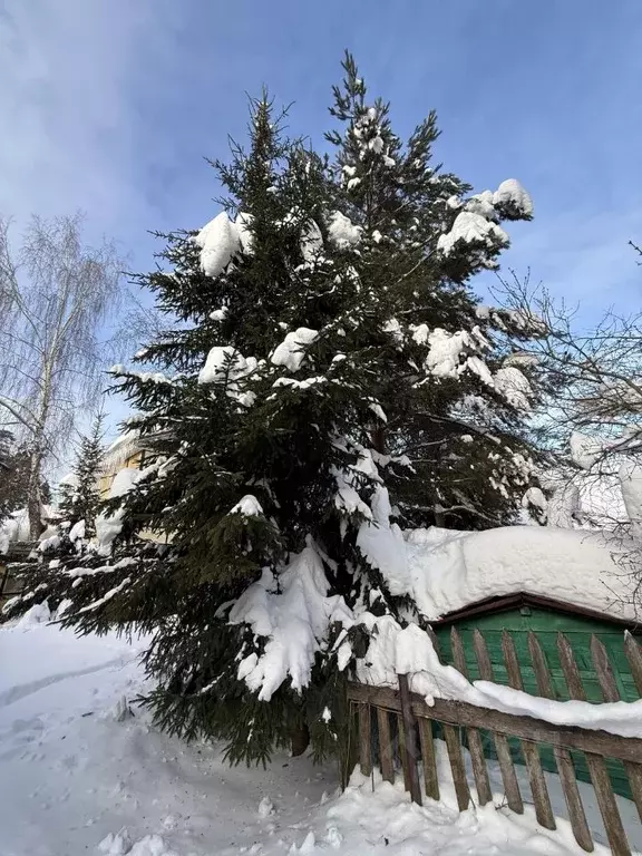 Дом в Московская область, Раменский муниципальный округ, Кратово пгт  ... - Фото 2