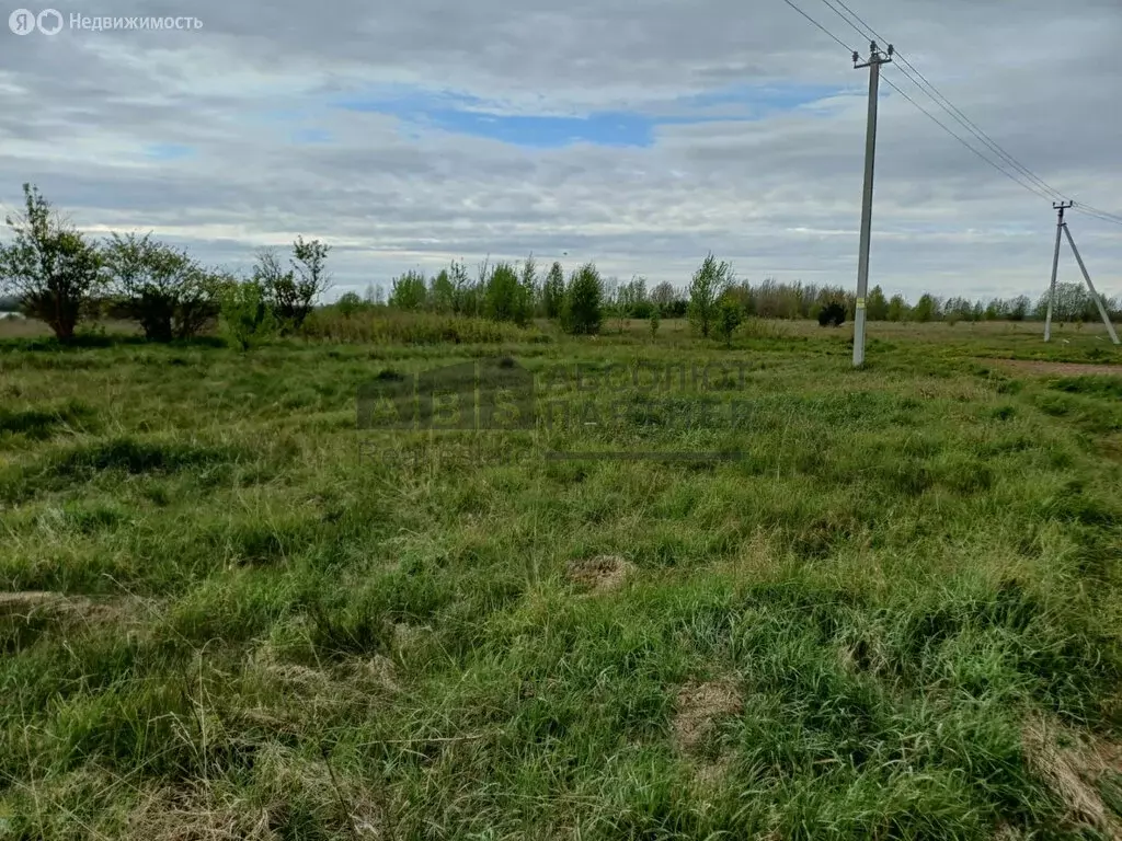 Участок в Ракомское сельское поселение, деревня Горные Морины (12 м) - Фото 0
