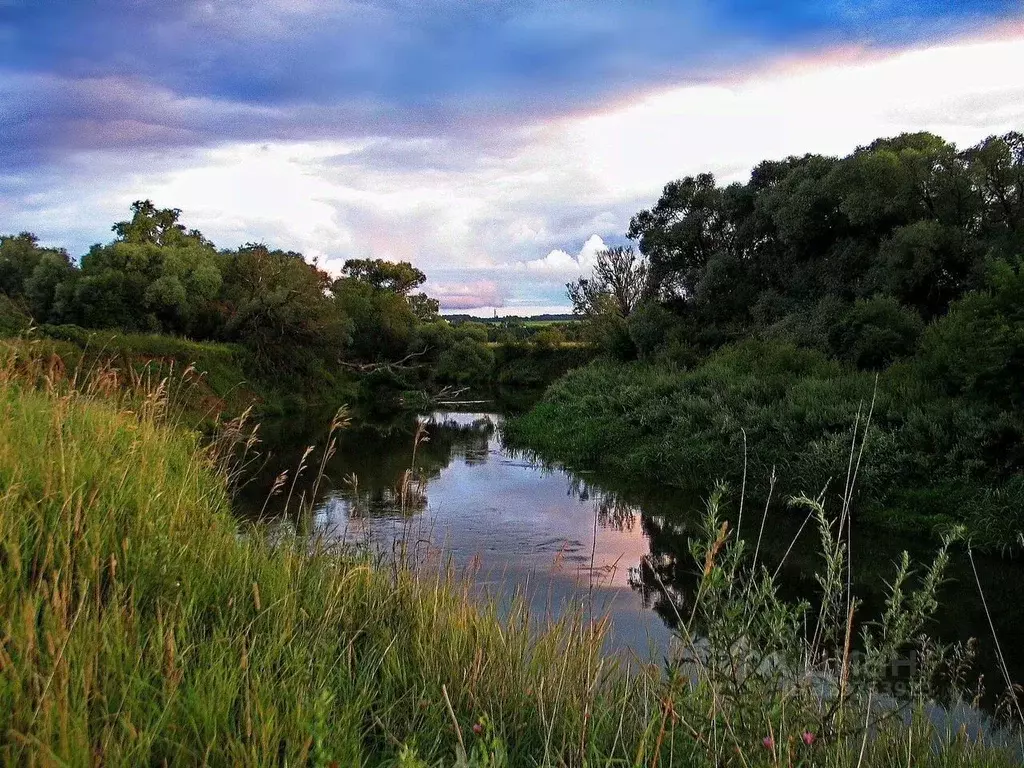Участок в Московская область, Можайский муниципальный округ, с. ДНП ... - Фото 1