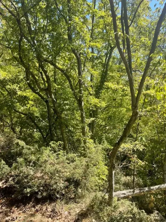 Участок в Крым, Ялта муниципальный округ, Массандра пгт ул. 16 Апреля ... - Фото 1