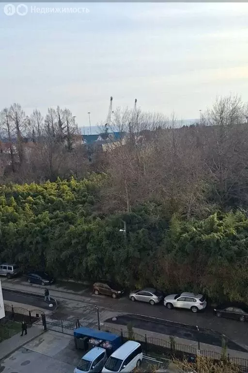 Квартира-студия: Сириус, Цветочная улица, 17/7 (24 м) - Фото 1