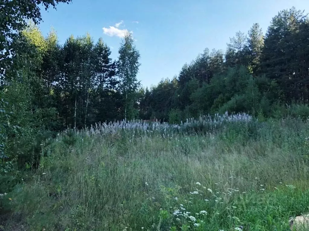 Участок в Свердловская область, Сысертский городской округ, с. Кашино  ... - Фото 1