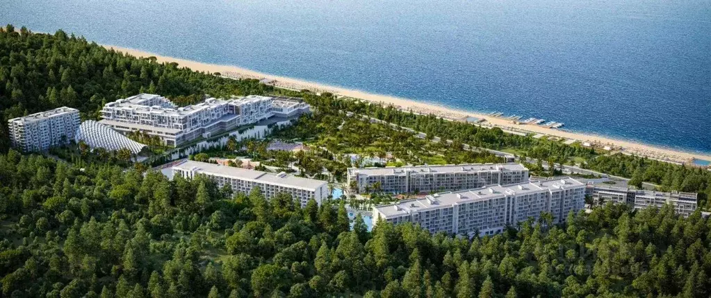 2-к кв. Краснодарский край, Сочи Главная ул., 54 (55.0 м) - Фото 1