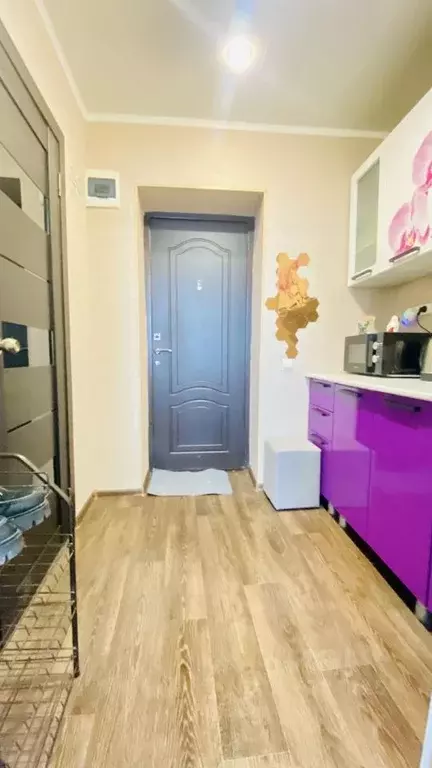 Студия Липецкая область, Липецк Левобережная ул., 1Б (20.0 м) - Фото 1