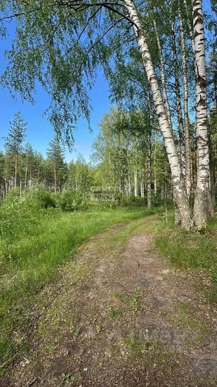 Участок в Нижегородская область, Бор ул. Кольцова (10.0 сот.) - Фото 0