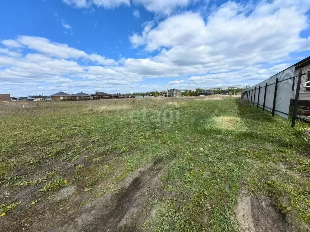 Участок в Воронежская область, Новоусманский район, Отрадненское ... - Фото 1