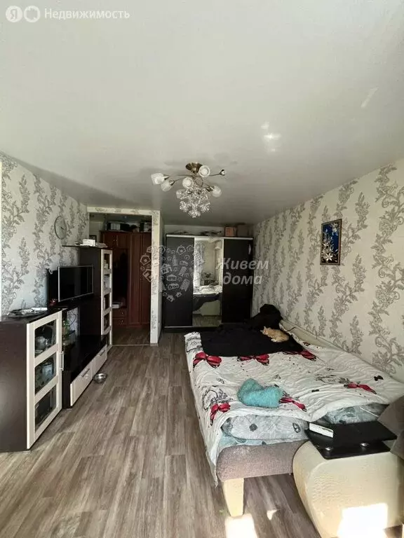 Квартира-студия: Волгоград, Триумфальная улица, 16 (30 м) - Фото 1