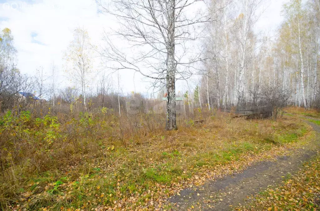 Дом в Тюменская область, Заводоуковский муниципальный округ, СОТ № 1 ... - Фото 1