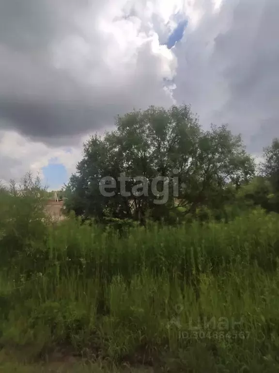 Участок в Амурская область, Благовещенск городской округ, с. Садовое  ... - Фото 0