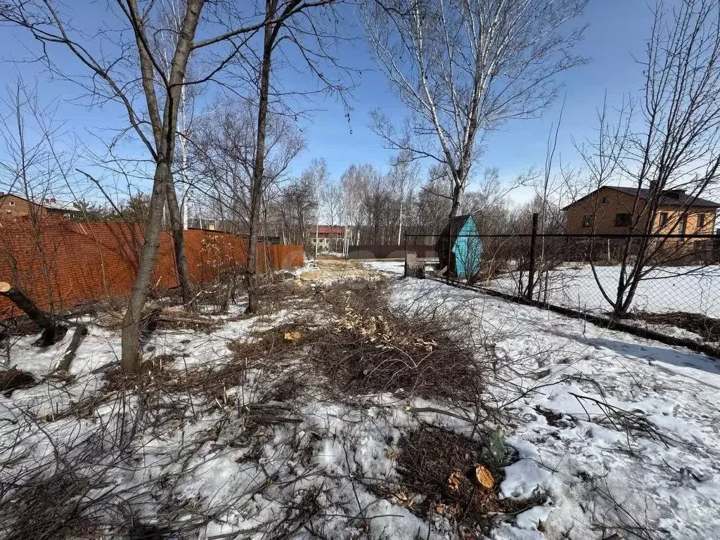 Участок в Амурская область, Благовещенск городской округ, пос. ... - Фото 1