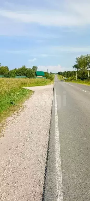 Участок в Калужская область, Калуга городской округ, д. Лихун ул. ... - Фото 2