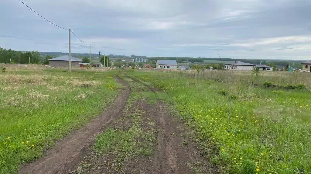 Участок в Башкортостан, Чишминский район, Лесной сельсовет, с. ... - Фото 0
