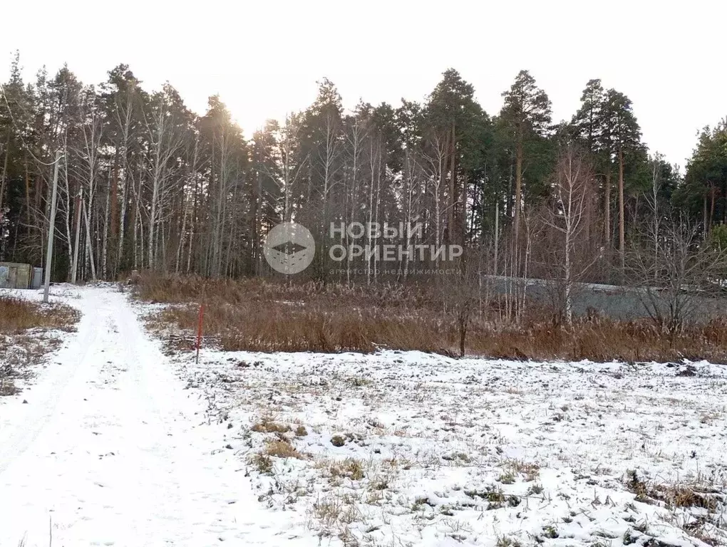 Участок в Свердловская область, Екатеринбург муниципальное ... - Фото 1