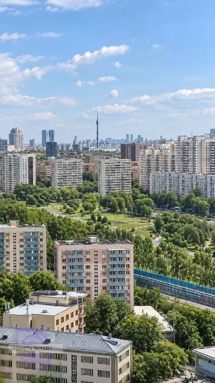 3-к кв. Москва Малая Филевская ул., 40к1 (144.0 м) - Фото 1