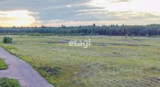 Участок в Ленинградская область, Ломоносовский район, Гостилицкое ... - Фото 0