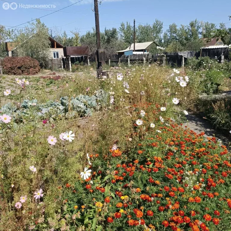 Дом в Республика Тыва, Кызыл (30 м) - Фото 1
