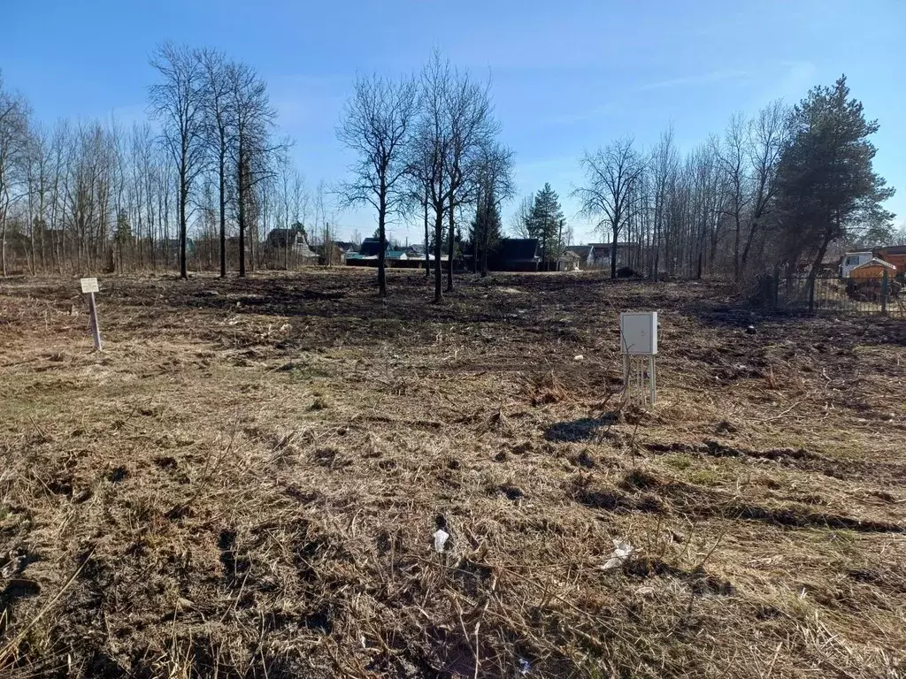 Участок в Новгородская область, Новгородский район, Ермолинское с/пос, ... - Фото 2