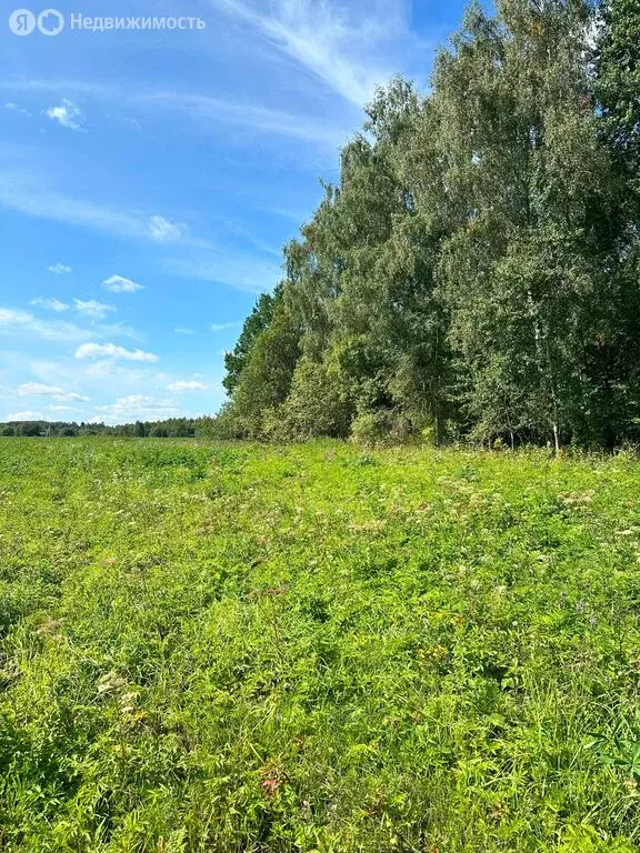 Участок в Московская область, городской округ Клин, деревня Никольское ... - Фото 0