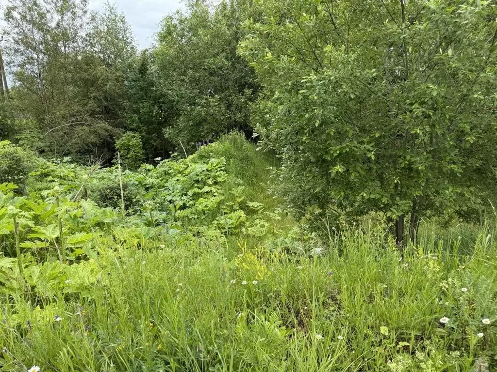 Участок в Московская область, Пушкинский городской округ, Софрино пгт  ... - Фото 2