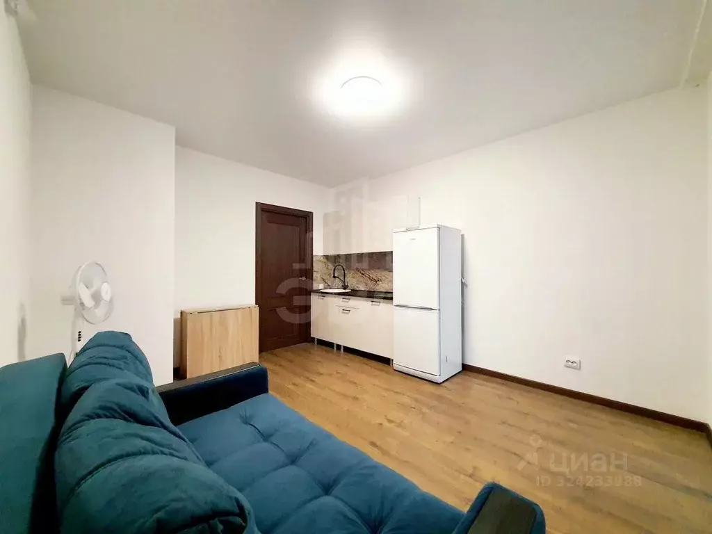 Студия Санкт-Петербург пос. Шушары, просп. Старорусский, 5к2 (20.0 м) - Фото 1