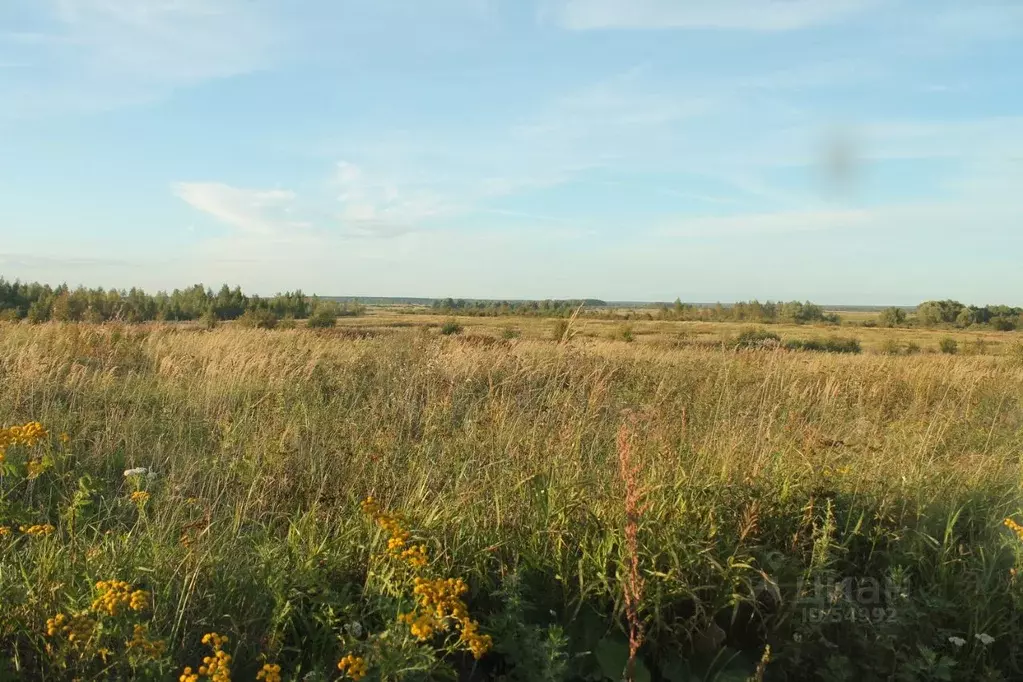 Участок в Смоленская область, Гагаринский район, д. Трубино  (220.0 ... - Фото 0