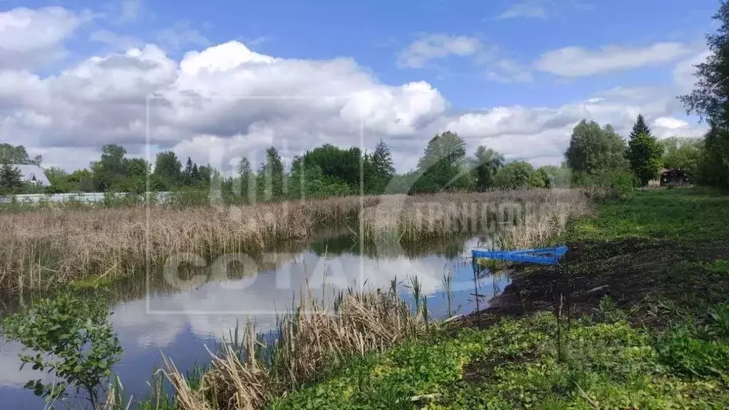 Участок в Воронежская область, Новоусманский район, Орловское с/пос, ... - Фото 1